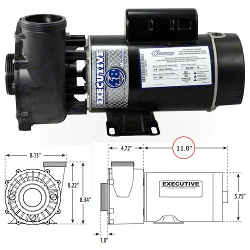 Waterway Executive 3 Horsepower 2 Spd 48 Frame Pump 3421221-1A - 2"