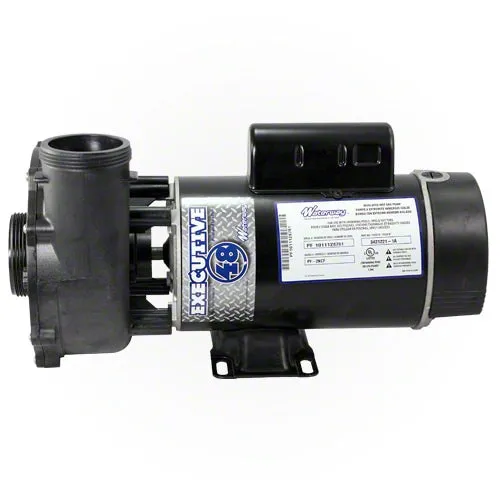 Waterway Executive 3 Horsepower 2 Spd 48 Frame Pump 3421221-1A - 2"