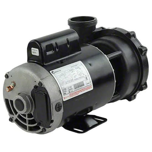 Waterway Executive 3 Horsepower 2 Spd 56 Frame Pump 3721221-1D - 2" Intake